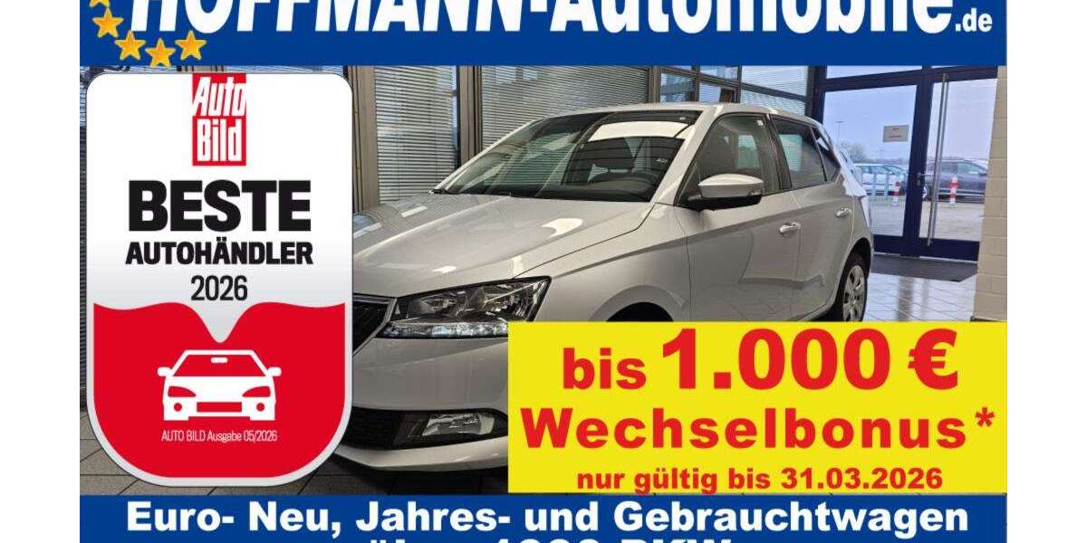 Skoda Fabia 45.322 km 10.800 &euro; Wolfsburg Heiligendorf 38444