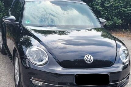 VW Beetle