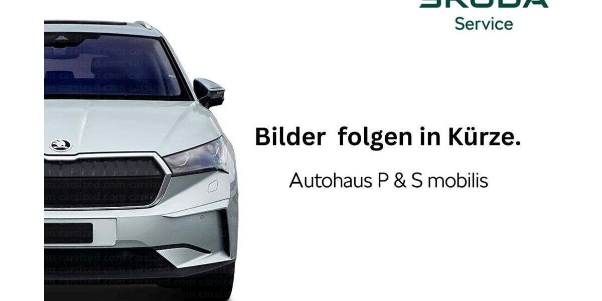 Skoda Scala 15.100 km 25.900 &euro; Neuhäusel 56335