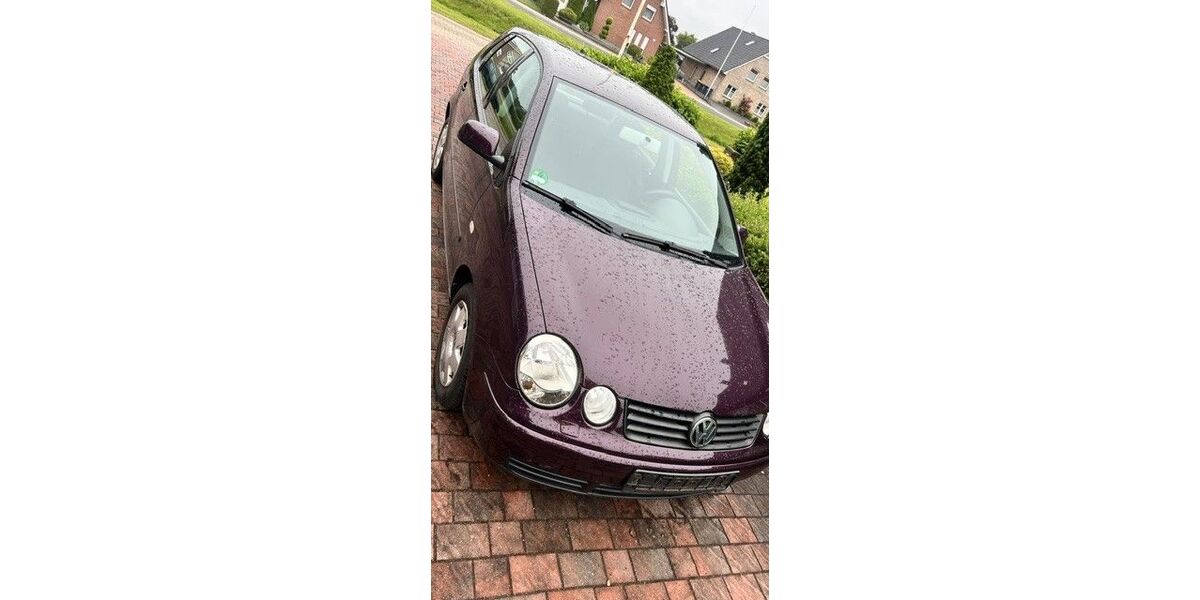 VW Polo 116.000 km 2.000 &euro; Papenburg 26871