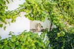 Ein Zuhause mit Geschichte, Charakter und mediterranem Gartenparadies mitten in Cham - Einfamilienhaus Cham | Angebot:27171764