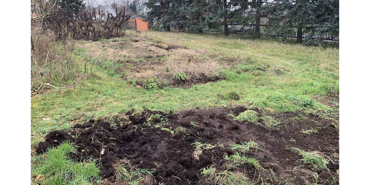 Grundstück Moritzburg / Friedewald Friedewald - 795.000&euro; | Angebot:24723175