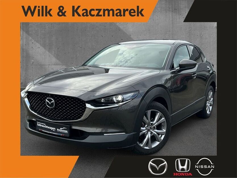 CX-30