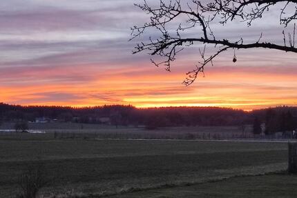 DHH TOP LAGEZUSTAND OHNE PROVISION 4 zimmer