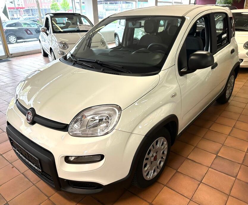 Panda