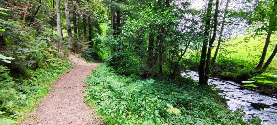 Einfamilienhaus Lauterbach - 3 Zimmer, 150 m&sup2;, 1.000&euro; | Angebot:20970242