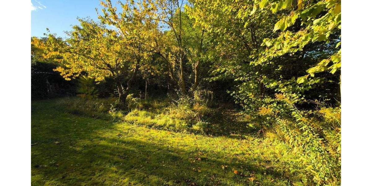 Grundstück Melchow - 299.000&euro; | Angebot:25968660