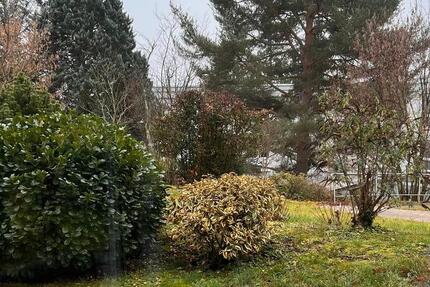 Erstbezug - seniorengerechte Gartengeschoss Wohnung 3 zimmer