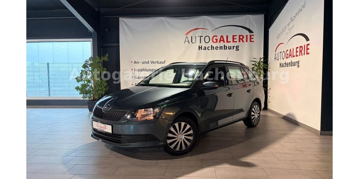Skoda Fabia 72.800 km 8.790 &euro; Hachenburg 57627