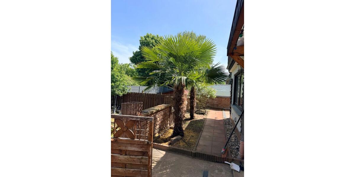 Mehrfamilienhaus, Wohnhaus Dormagen - 9 Zimmer, 250 m&sup2;, 750.000&euro; | Angebot:26778743