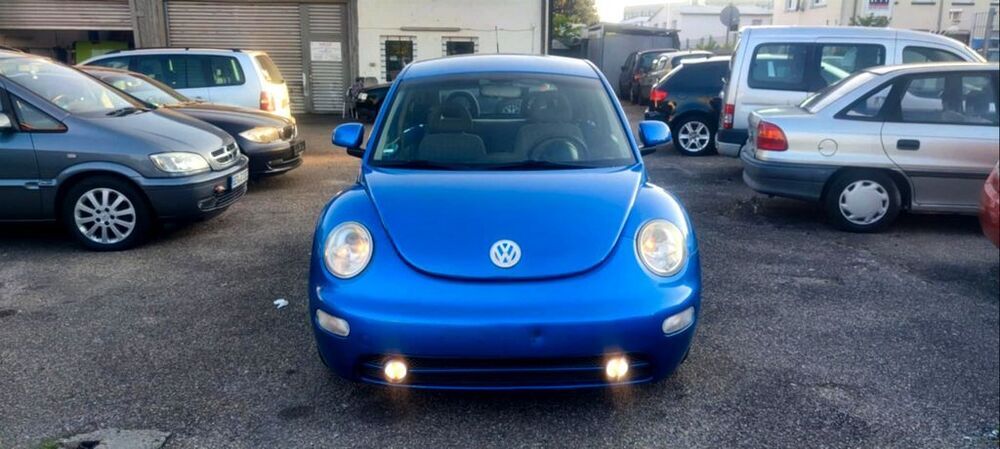 Beetle