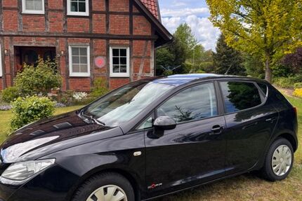 Seat Ibiza 163.000 km 3.700 &euro; Rosche 29571