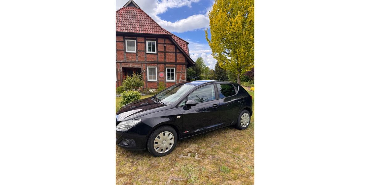 Seat Ibiza 163.000 km 3.700 &euro; Rosche 29571