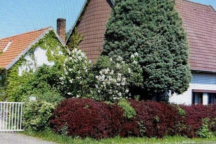 Haus mit großem Grundstück (ca. 1300qm) in BückeburgRöcke zu ve zimmer