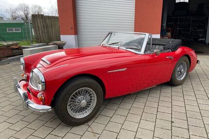 Austin Healey Andere