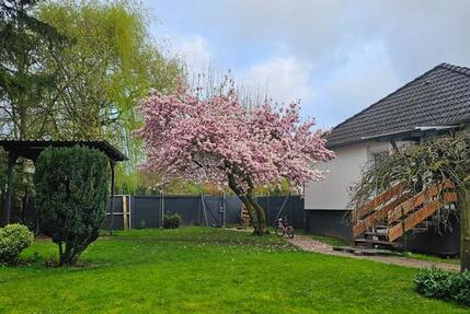 Einfamilienhaus mit großem Grundstück