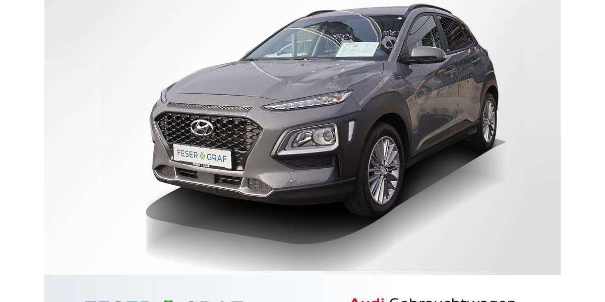 Hyundai KONA 49.950 km 13.980 € Lauf an der Pegnitz 91207