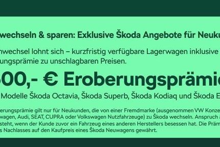 Skoda Enyaq 1.205 km 53.980 &euro; Frankfurt 60435