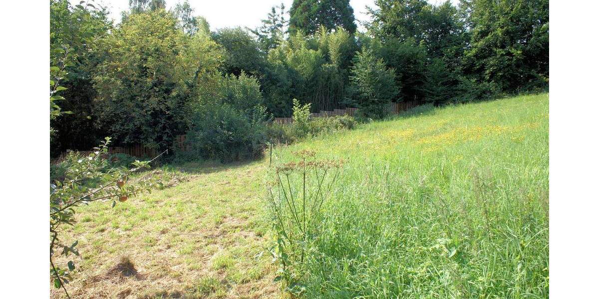 Grundstück Ruppichteroth - 148.000&euro; | Angebot:23883298