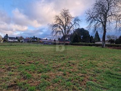FÜR AUSSTEIGER UND EINSTEIGER! - Grundstück Dassow | Angebot:26120051