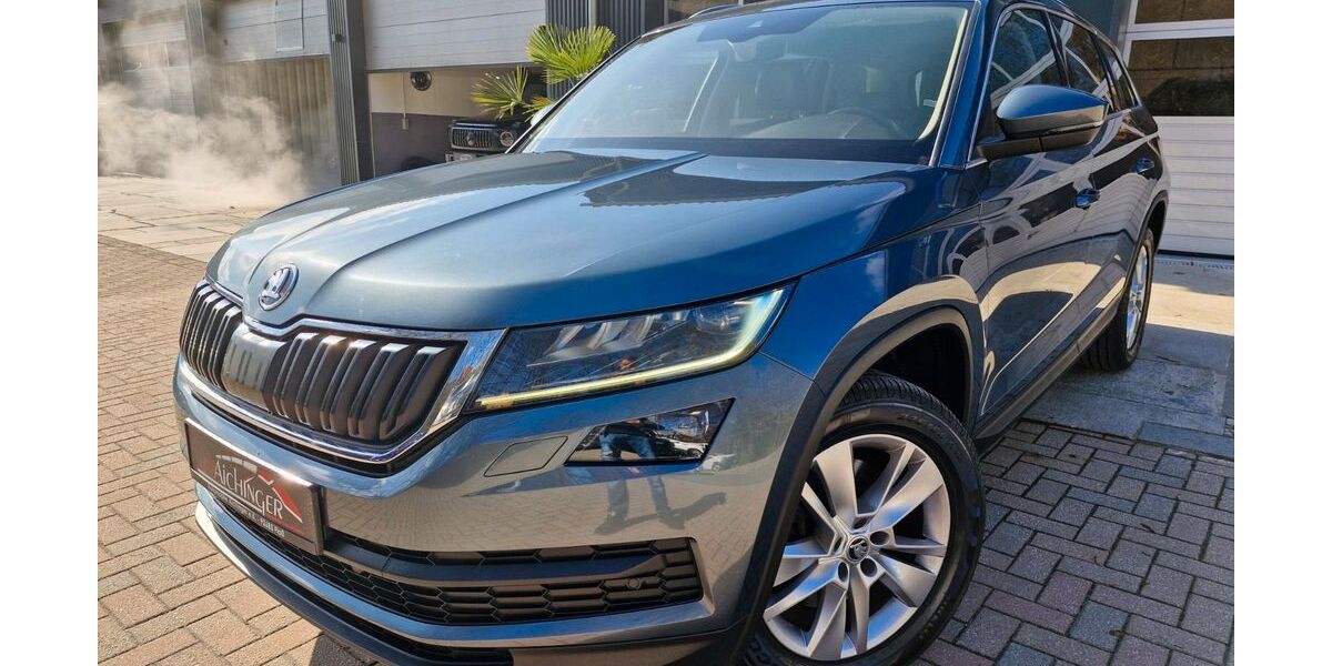 Skoda Kodiaq 221.150 km 17.999 &euro; Floß 92685