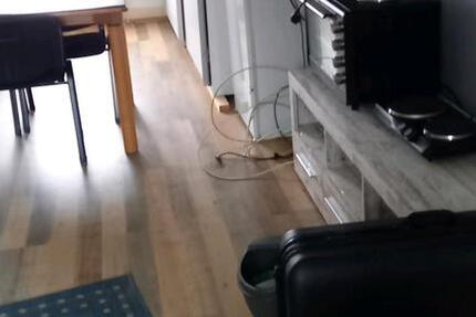 Wohnung Ulrichstein - 1 Zimmer, 32 m&sup2;, 520&euro; | Angebot:25225994