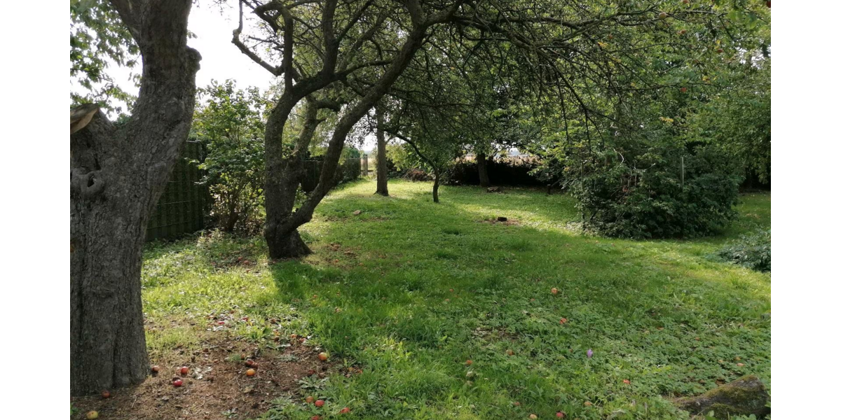 Grundstück zu verkaufen in Kühlungsborn 315.000 € 950 m² zimmer