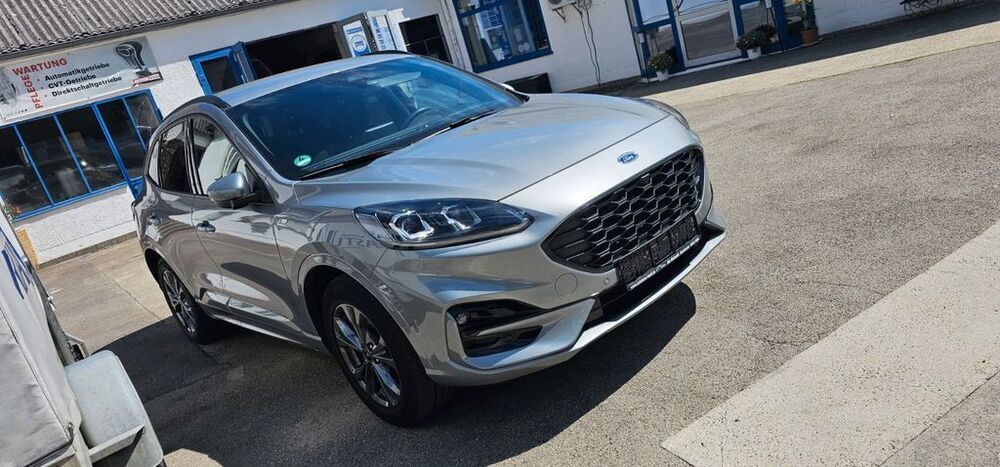 Kuga