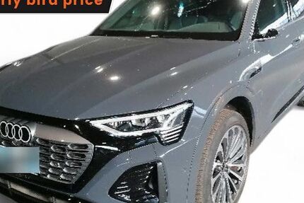 Audi Q8 e-tron 28.909 km 54.390 &euro; Ergolding 84030