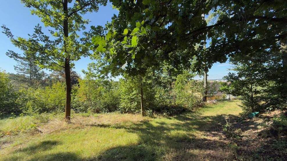 Attraktives Baugrundstück am Tharandter Wald zimmer