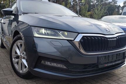 Skoda Octavia 134.496 km 16.900 &euro; Schlangen 33189