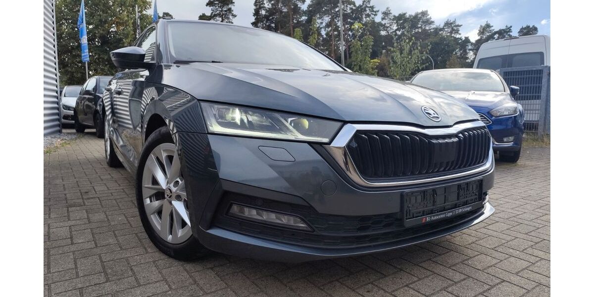 Skoda Octavia 134.496 km 16.900 &euro; Schlangen 33189