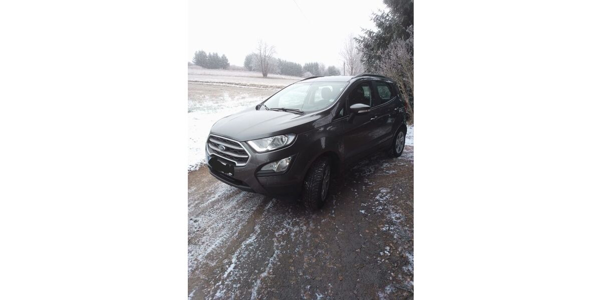 Ford EcoSport 11.500 km 14.250 &euro; Ebnath 95683