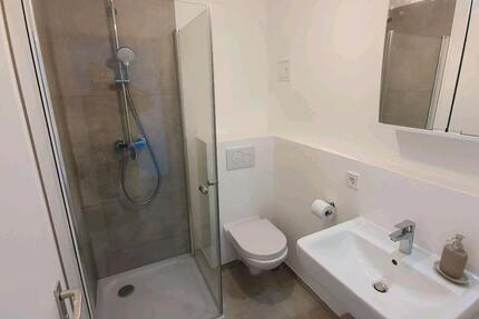 Frankfurt-Eckenheim Topmod. 1 Zi. Apartment, EBK, Balkon 1 zimmer