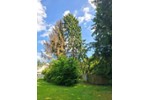 Einfamilienhaus Koblenz Arenberg-Immendorf - 5 Zimmer, 156 m&sup2;, 290.000&euro; | Angebot:27278341