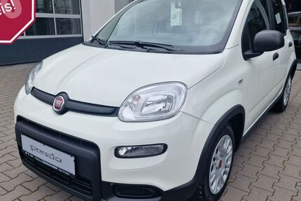 Fiat Panda 8.000 km 14.750 € Bad Arolsen 34454
