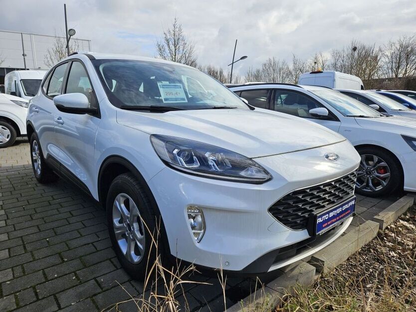 Kuga