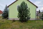 Einfamilienhaus Bad Belzig - 5 Zimmer, 158 m&sup2;, 1.550&euro; | Angebot:26443482