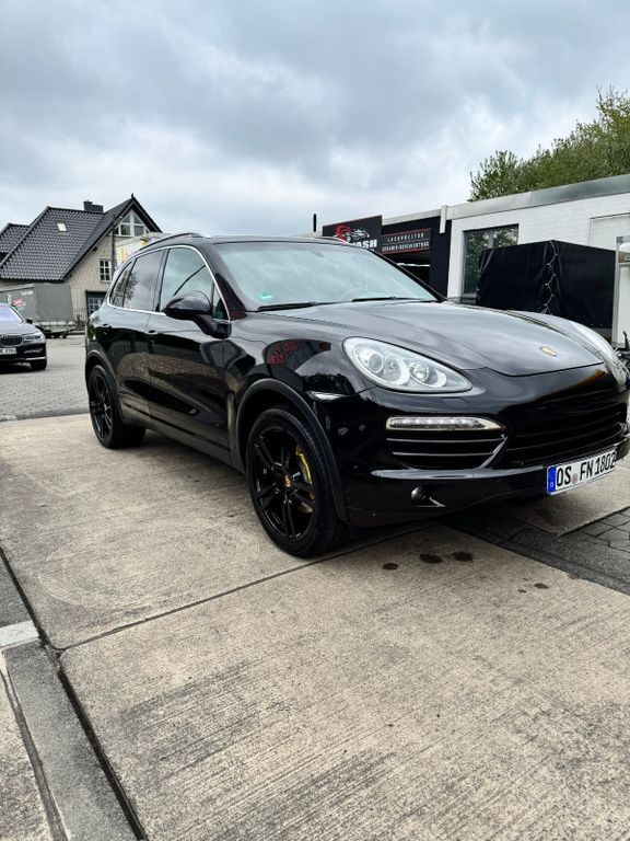 Cayenne