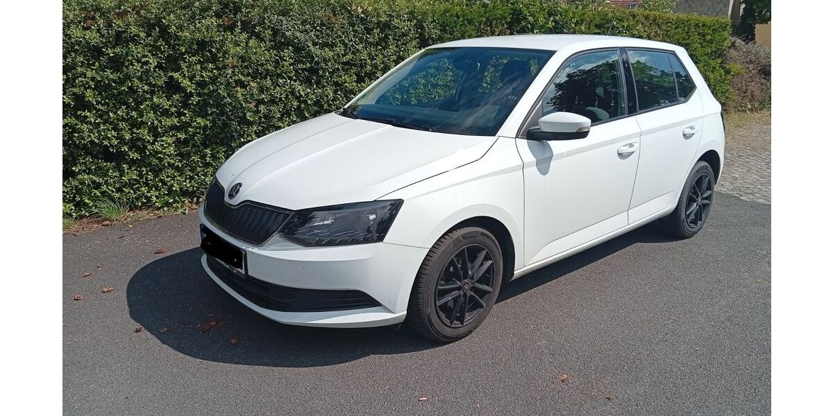 Skoda Fabia 58.500 km 7.999 &euro; Raguhn-Jeßnitz 06779