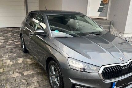 Skoda Fabia 4.500 km 18.400 &euro; Stein-Bockenheim 55599