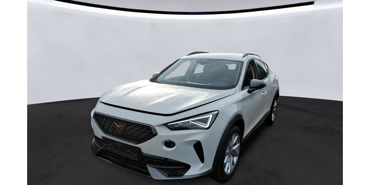 Cupra Formentor 17.751 km 25.925 &euro; Bernau 16321
