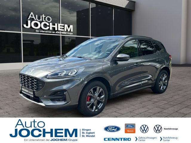 Kuga
