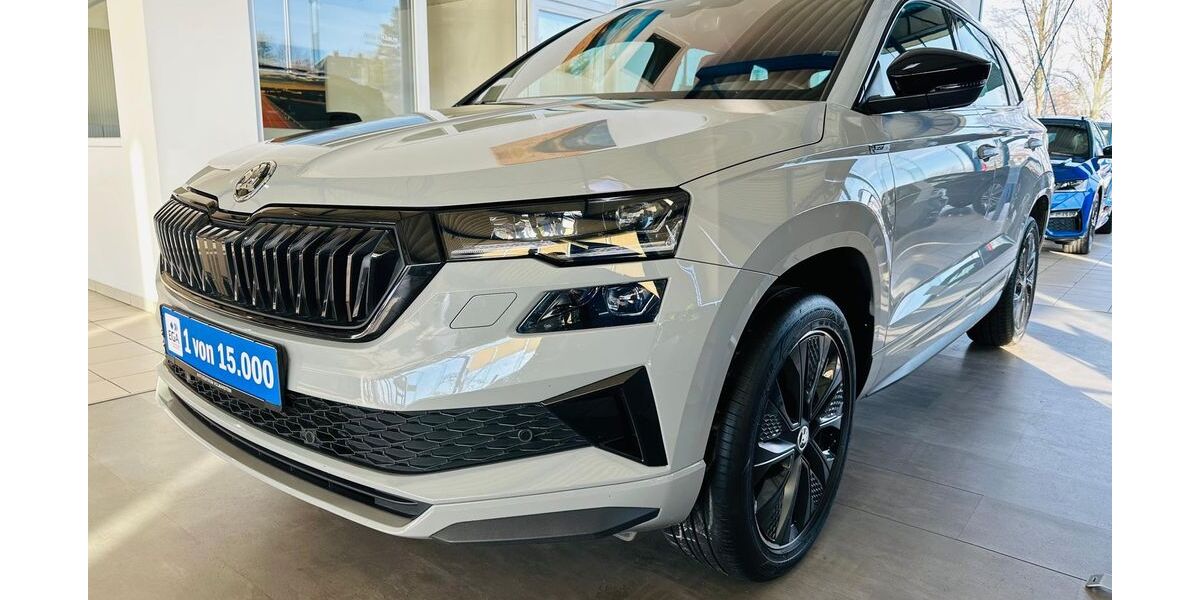 Skoda Karoq 88.700 km 26.390 € Wetter 58300