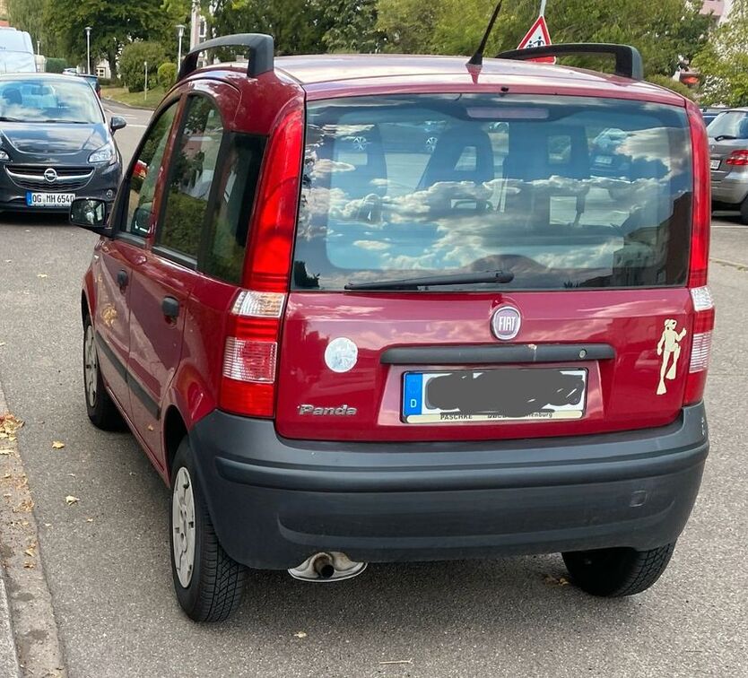 Panda