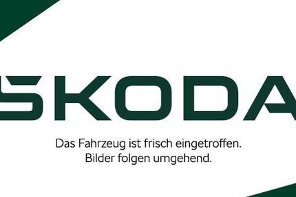 Skoda Kamiq 22.000 km 28.950 € Nordhausen 99734