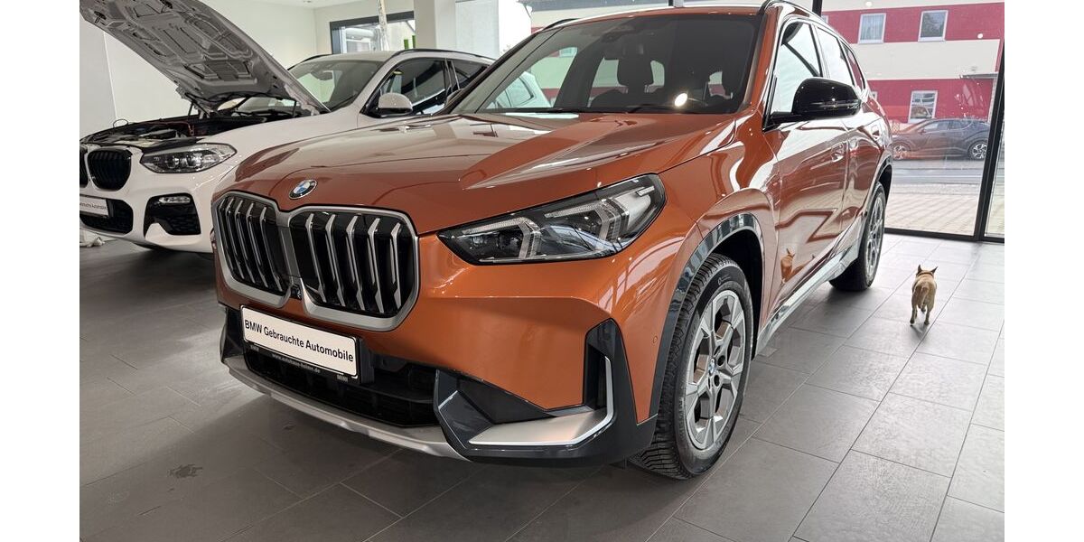 BMW X1 47.298 km 37.990 &euro; Pegnitz 91257
