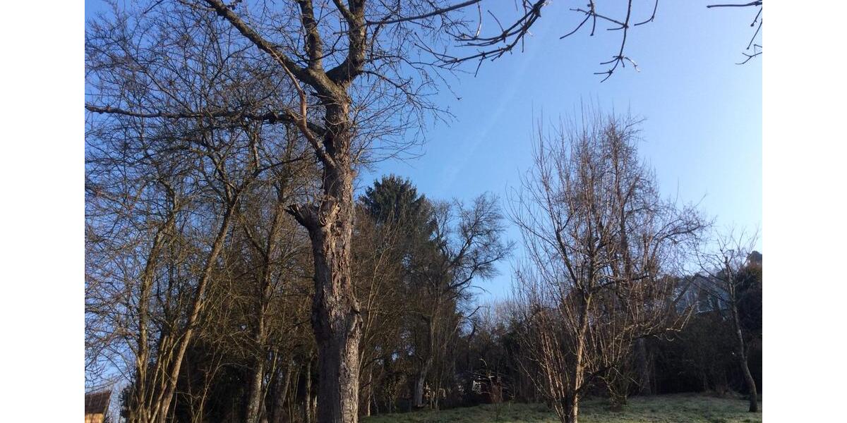 Einfamilienhaus Eigeltingen - 4 Zimmer, 80 m&sup2;, 750&euro; | Angebot:25291422