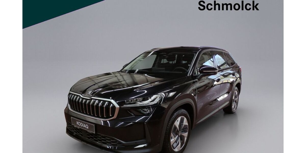 Skoda Kodiaq 24.600 km 37.890 &euro; Emmendingen 79312