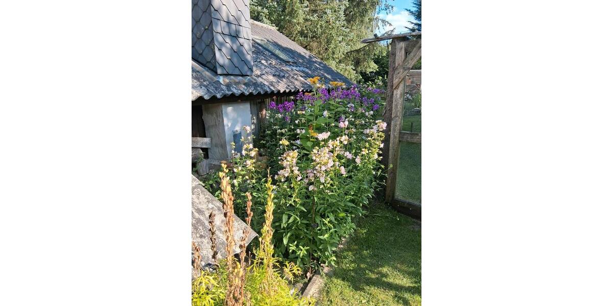 Einfamilienhaus Jübek - 3 Zimmer, 72 m&sup2;, 165.000&euro; | Angebot:26920701
